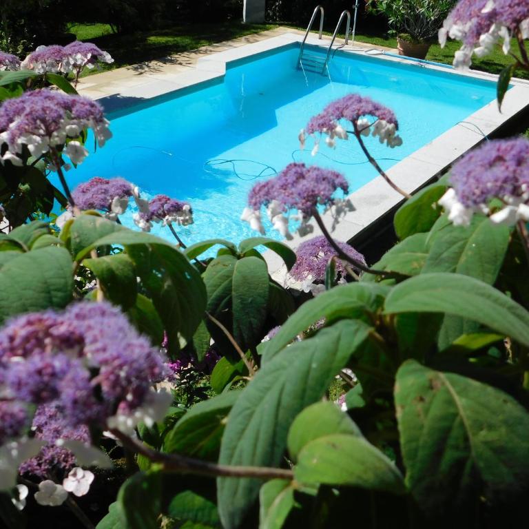 Four Seasons Apartment "GREEN PARADISE" - Apartment mit 2 Schlafzimmern - 46
