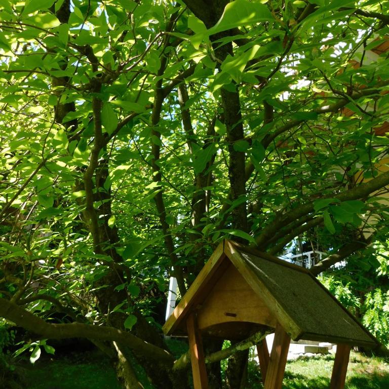 Four Seasons Apartment "GREEN PARADISE" - Apartment mit 2 Schlafzimmern - 70