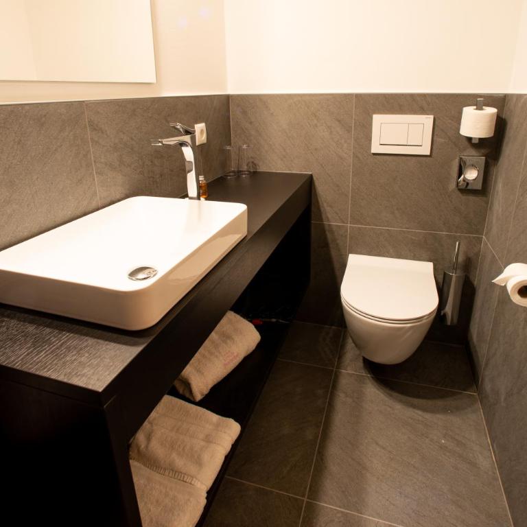 Penserhof - Alpine Hotel & Restaurant - Habitación Individual Estándar con ducha - 3