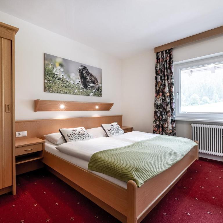 Das Filzmoos - Apartamento de 1 dormitorio con balcón - 1