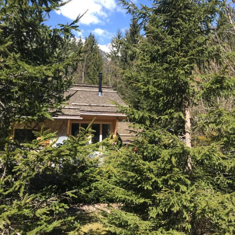 Chalet Cristal Trail - Apartment mit 1 Schlafzimmer - 1