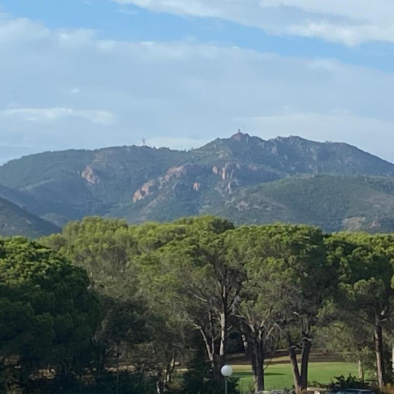 Domaine Valescure vue Piscine ou Pinede - Wifi - Apartment mit Poolblick - 29