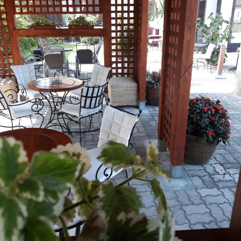 Apartmani Radulović - Apartment with Garden View - 7