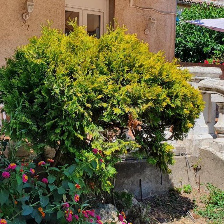 La casa de Margarita y Sisco, Villa avec piscine - Three-Bedroom Villa - 73