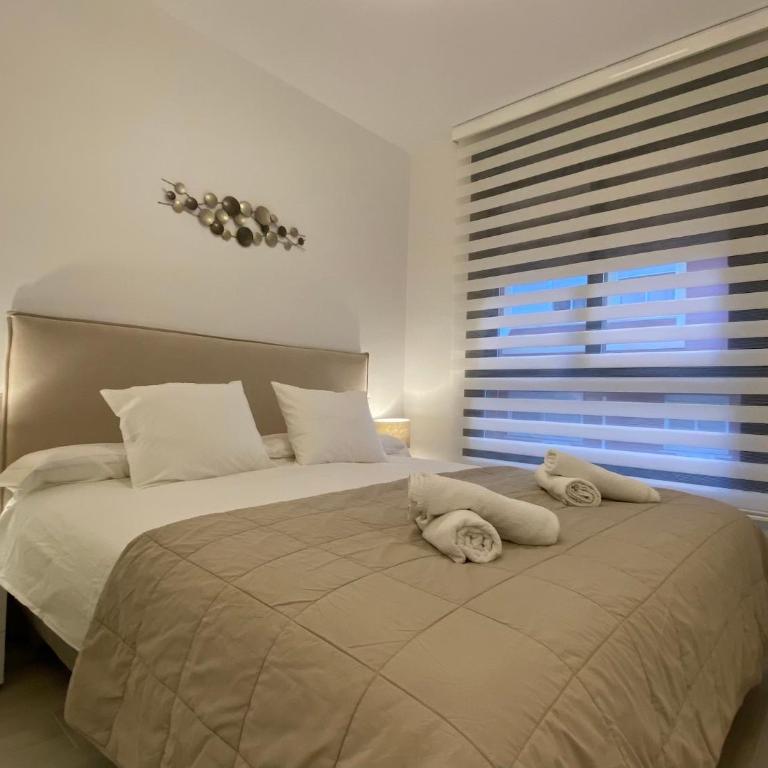CASA BELLA Málaga City Apartment - Apartamento de 2 dormitorios - 8