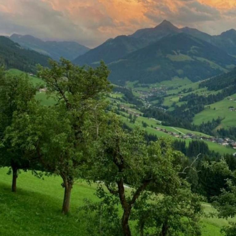 Haus Raimund " KLEIN aber FEIN " - Apartment mit Blick auf die Berge - 66