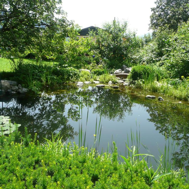Chalet Mandl Sauna Pool EG Rollstuhlgängig - Apartment mit Terrasse - 12