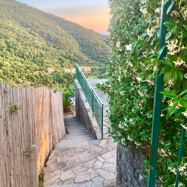 Corner of Paradise Moneglia - Casa Vacanze - 68
