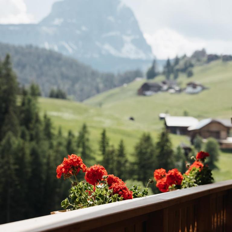 Chalet Rich in Val Badia - Chalet con 2 Camere da Letto - 33