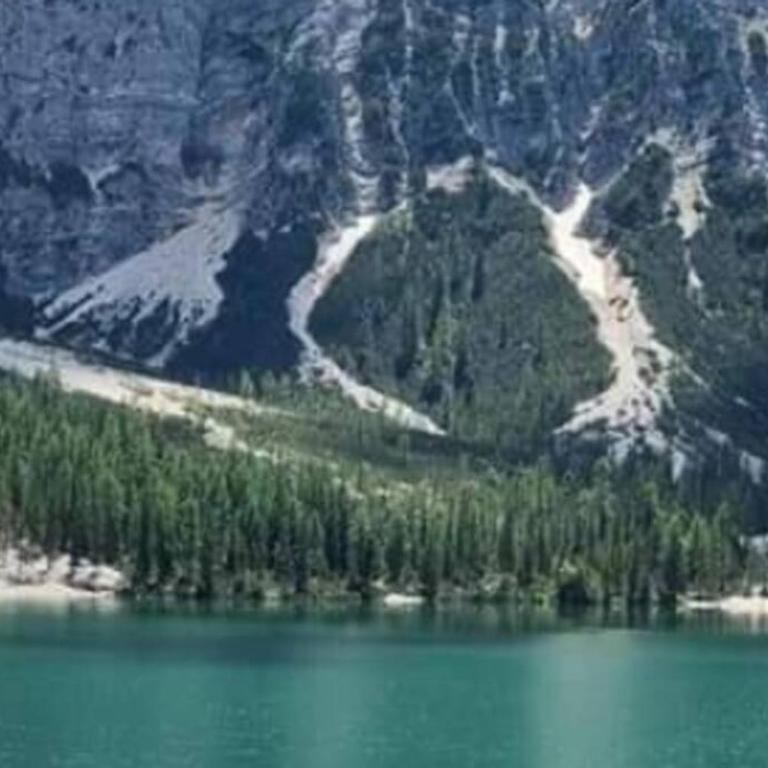 Relax al lago di Braies - Casa de 2 dormitorios - 33