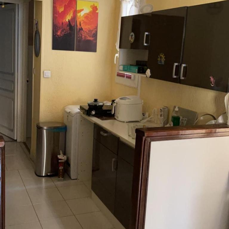 Appartement au centre de Nice - Appartement 1 Chambre - 13