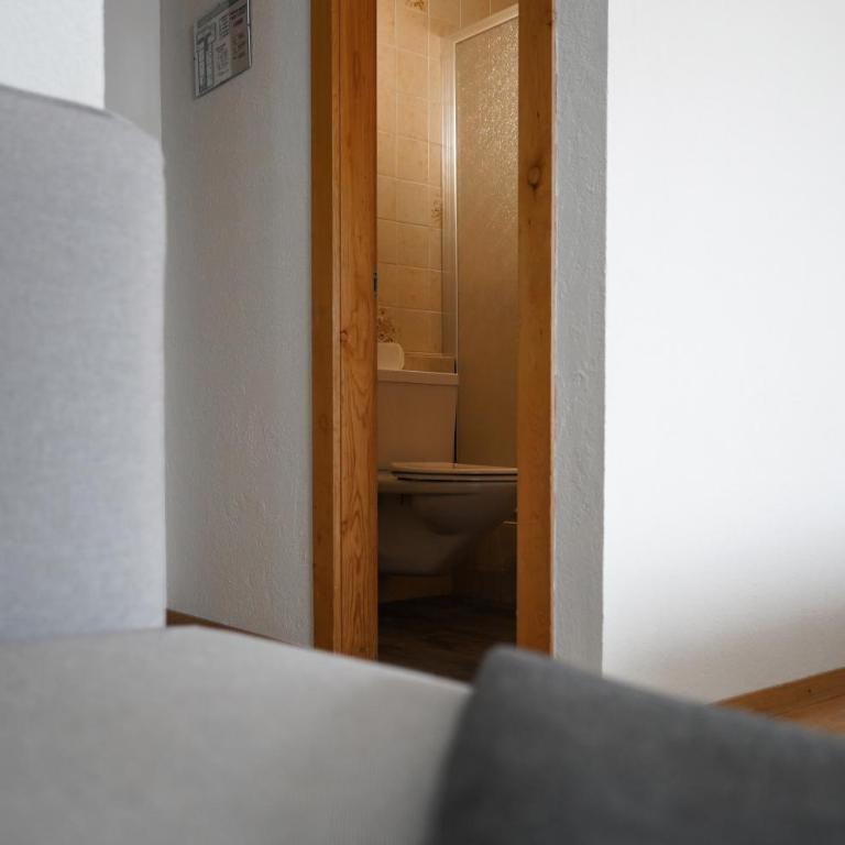 Hotel Alpina - Standard Doppelzimmer - 3