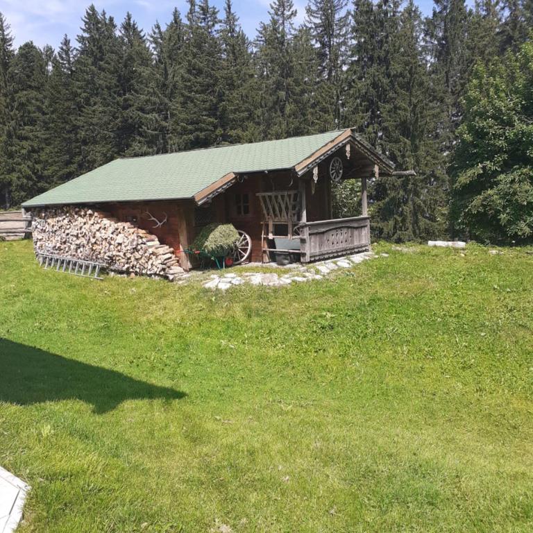 Reitbergs Nest - Apartment - 69