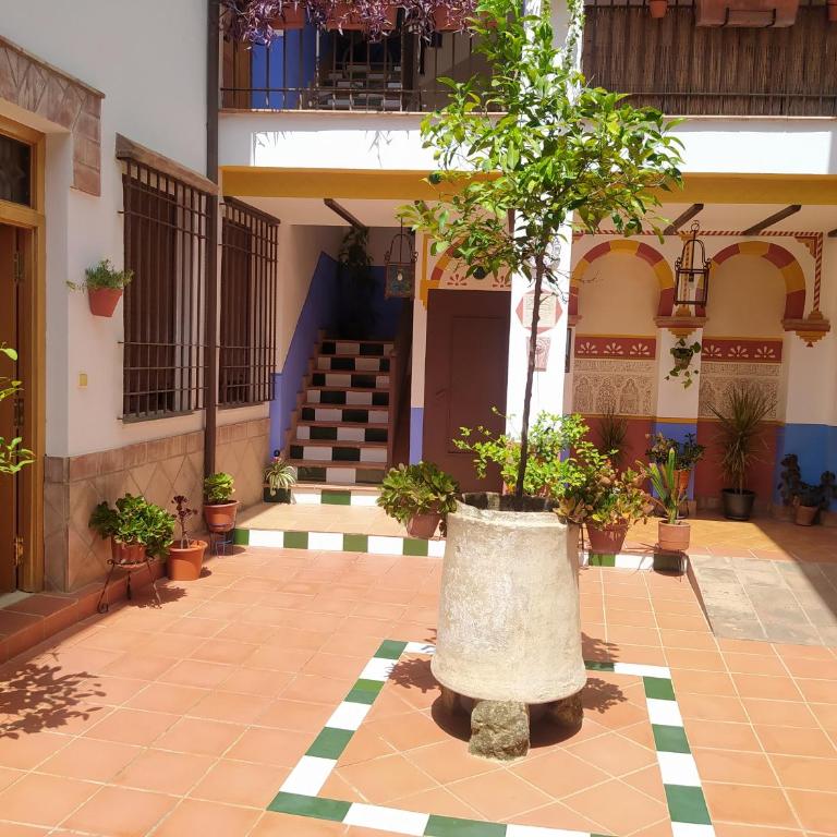 Apartamento patio de San Lorenzo VFT/CO/00990 - Apartamento de 1 dormitorio - 5