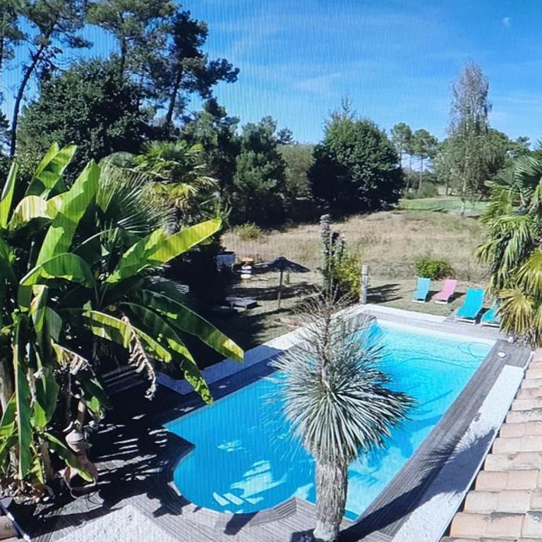 Villa Caraîbes - Suite - Vue sur Piscine - 14