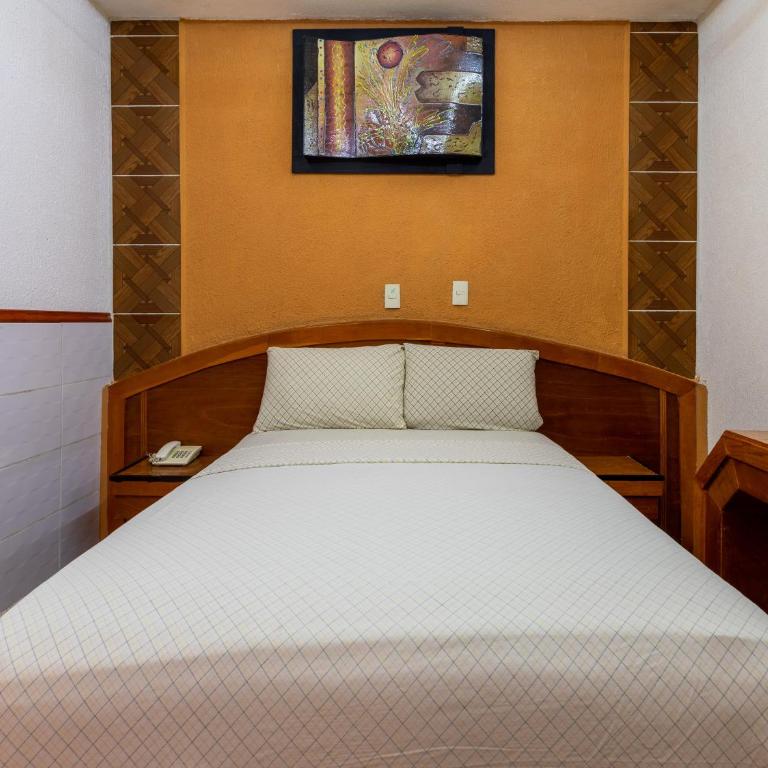 Hotel Vista Alegre - Habitación Estándar - 5