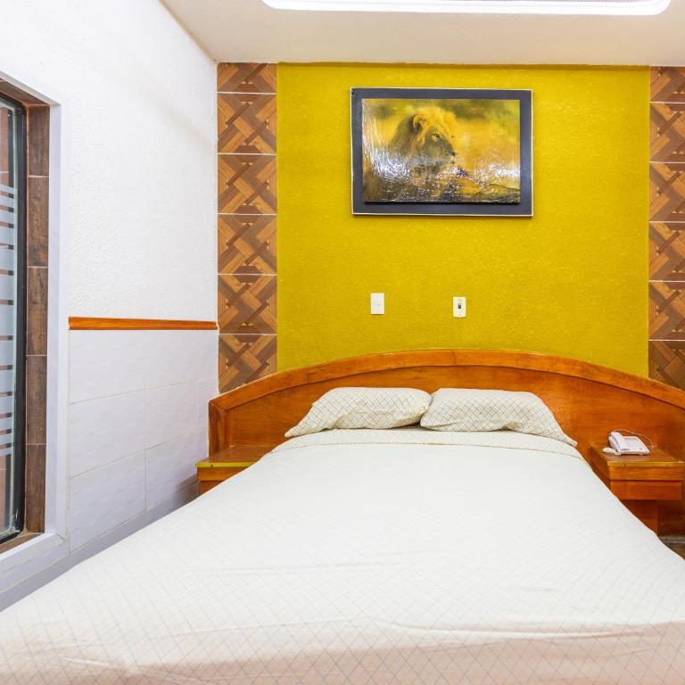 Hotel Vista Alegre - Habitación Estándar - 2