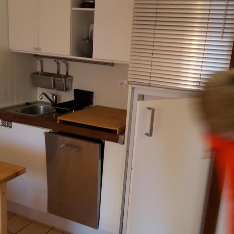 Studio 4 personnes RDC avec jardin et parking sous terrain - Studio - Vue sur Montagne - 7