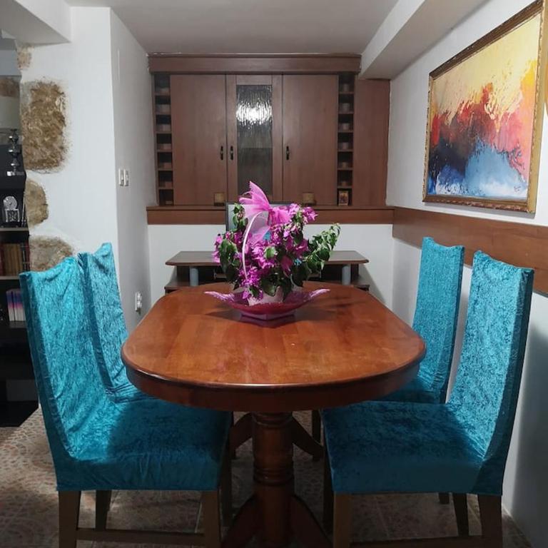 Vesna's Dream - Apartman - 34