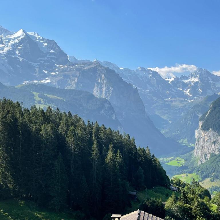Chalet Ledibach - Superior Chalet - 55