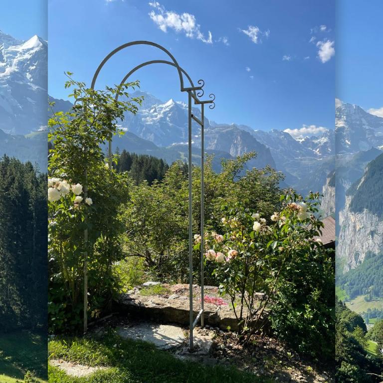 Chalet Ledibach - Superior Chalet - 60
