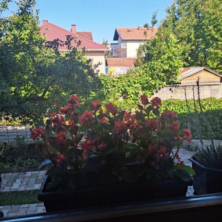 Apartman Hujić - Two-Bedroom Apartment - 6