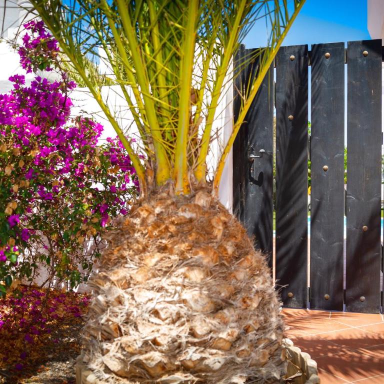Villa Simba - Three-Bedroom House - 13