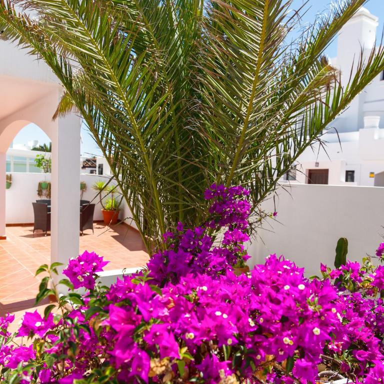 Villa Simba - Three-Bedroom House - 19