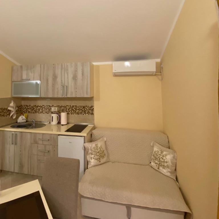 Apartmani Raskovic - Apartman sa 1 Spavaćom Sobom - 3