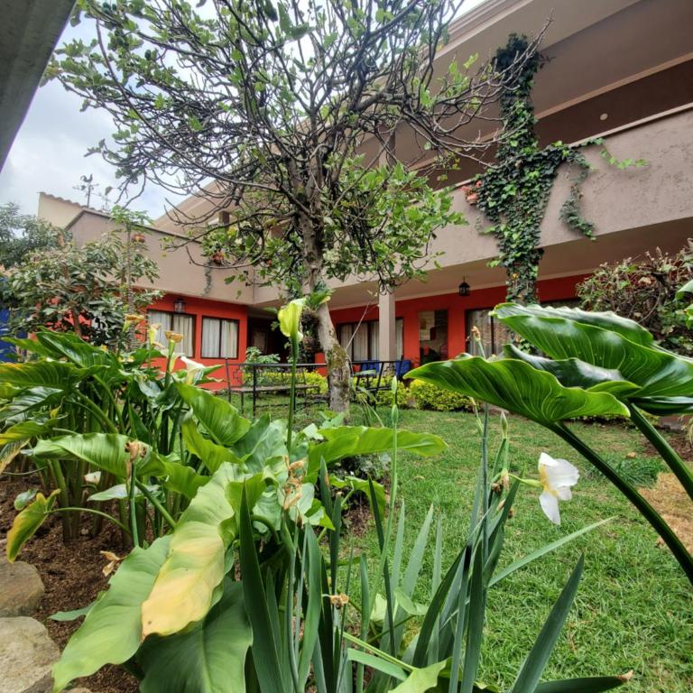 Hotel Casa Merced - Standard Family Room - 2