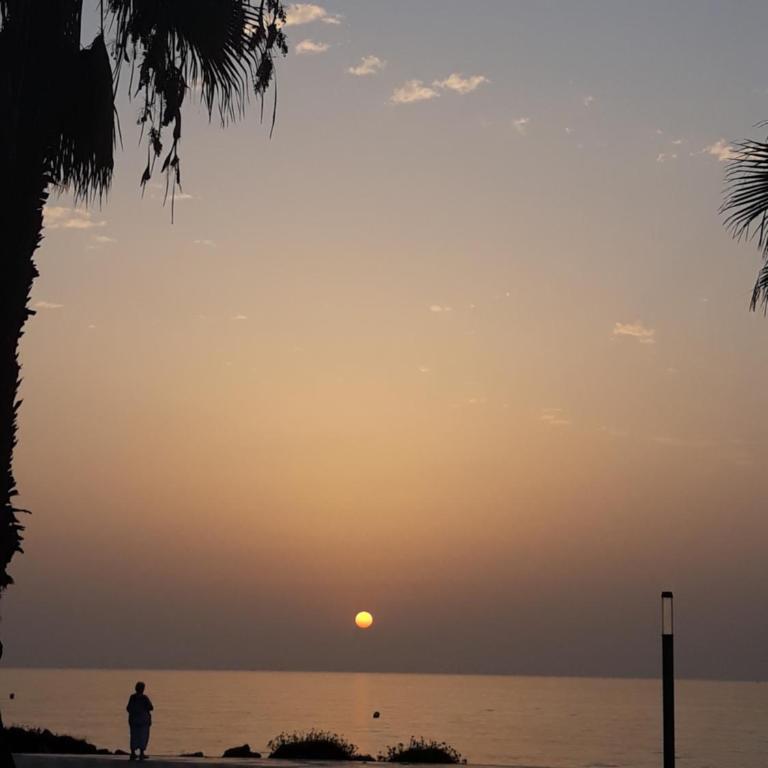 Beach apartment / Torrevieja - One-Bedroom Apartment - 27