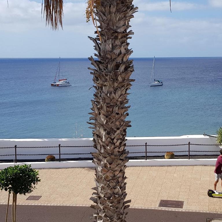 Apartamentos Capellania - Apartment with Sea View - 6