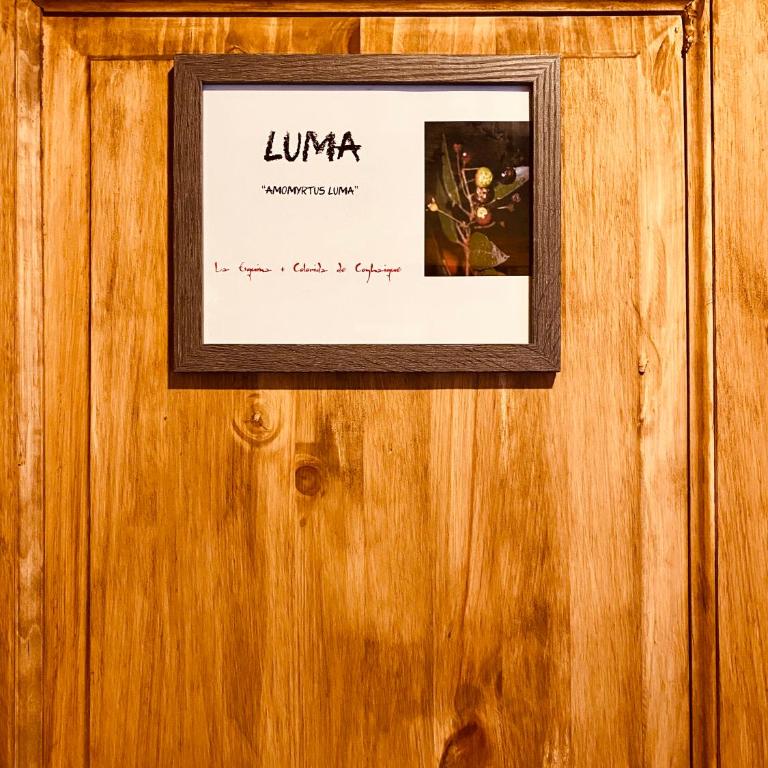 Hostal Esquina Patagónica - Habitación Doble con baño privado - 6