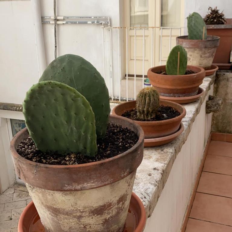 My Little Flat - Casa Vacanze - 6