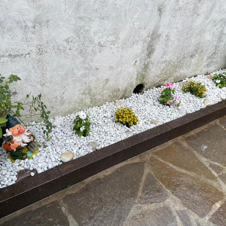 Appartamento Edelweiss - Appartamento con 2 Camere da Letto - 46