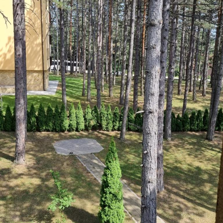 Apartman Aida Zlatibor - Two-Bedroom Apartment - 5