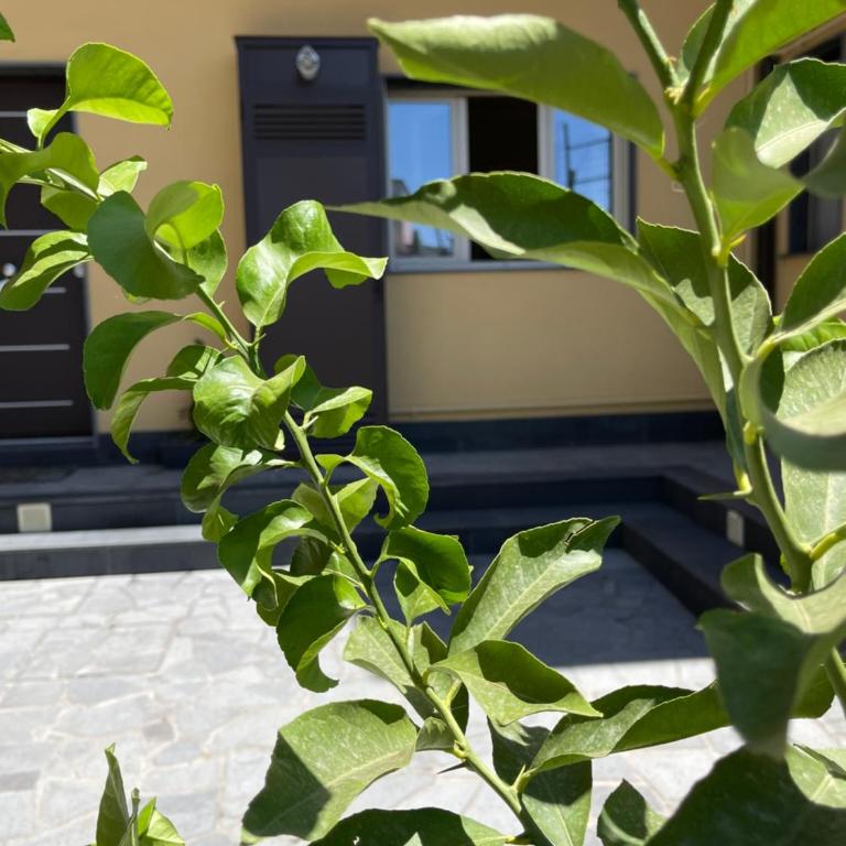 “I Niputeddi” - Casa Vacanze - 9