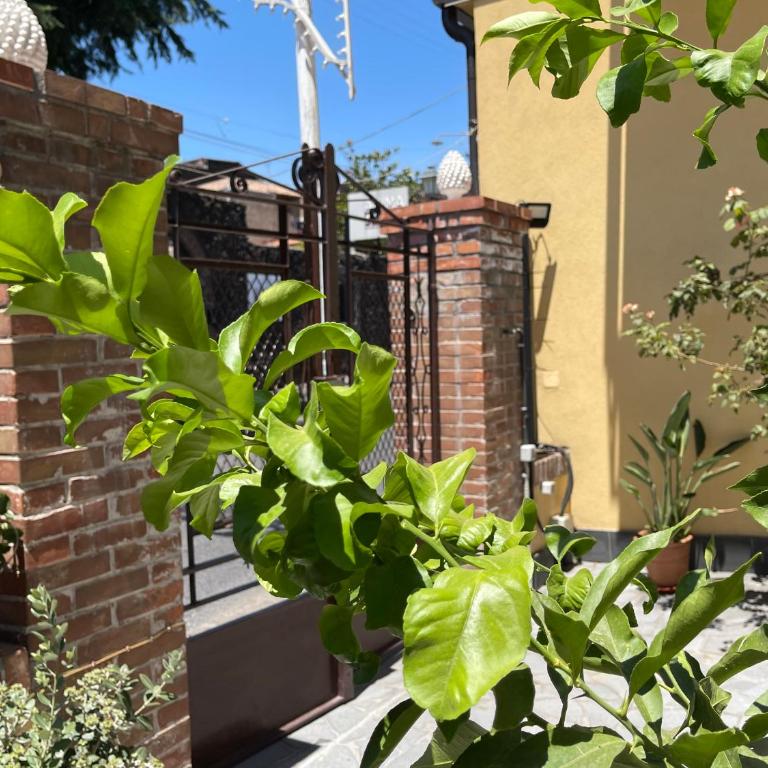 “I Niputeddi” - Casa Vacanze - 3