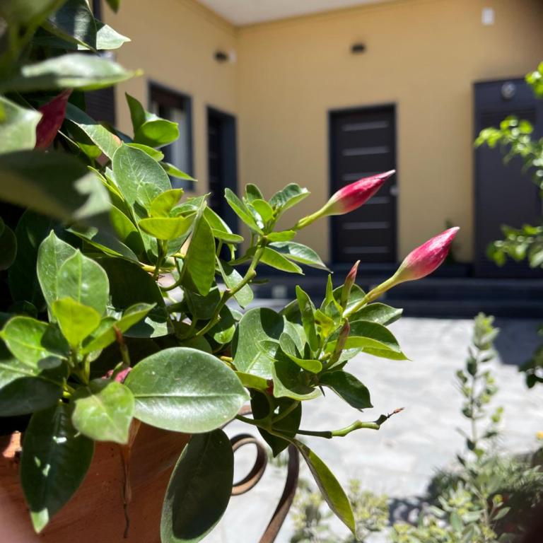 “I Niputeddi” - Casa Vacanze - 8