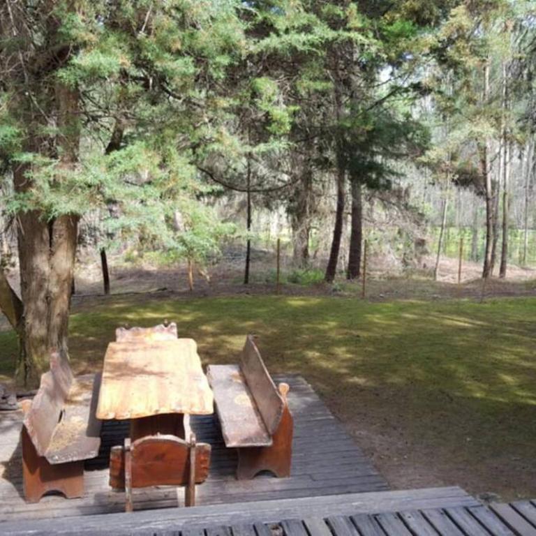 Carilo Hermosa cabaña en medio del bosque!!! - Four-Bedroom House - 16