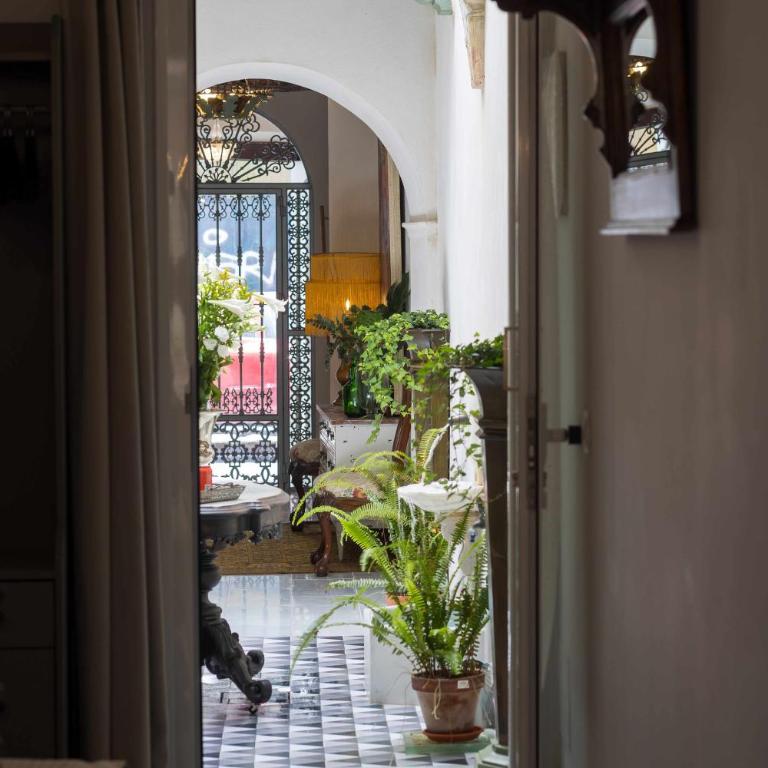 Casa Portus Gaditanus s XVIII Patio Andaluz - Apartamento con terraza - 23