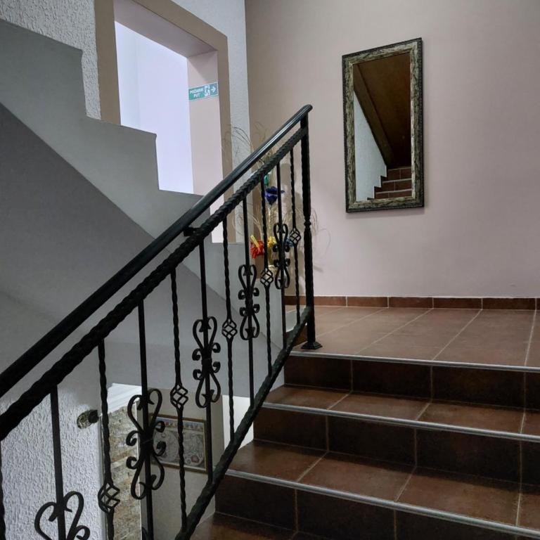 Apartmani Radulović - Superior Apartment - 5