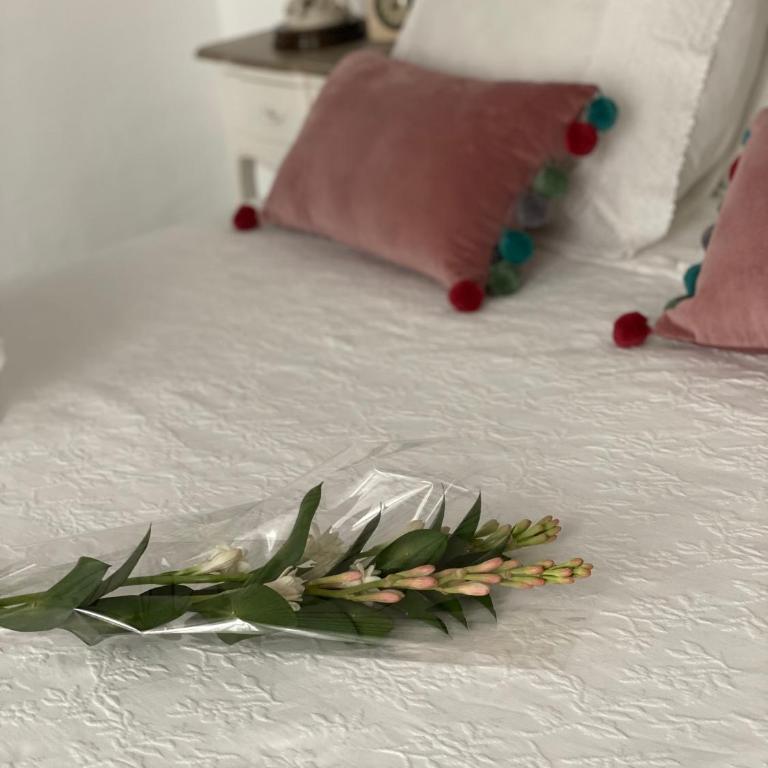 Lujosa suite privada en casa del S XIX - Suite - 16