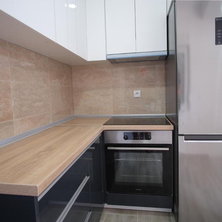 Luxury Apartments Milićević - Apartman sa 1 Spavaćom Sobom - 28