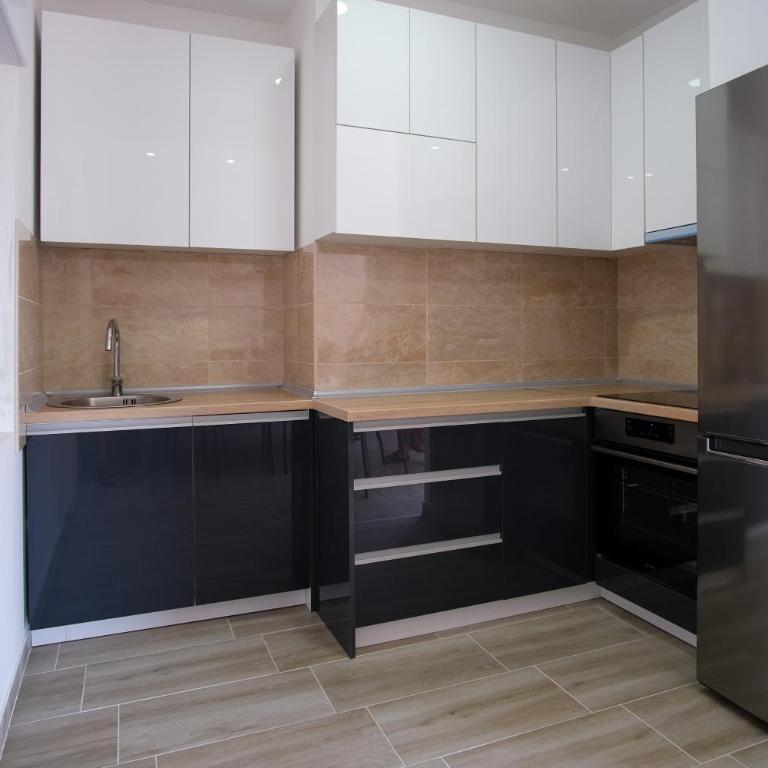 Luxury Apartments Milićević - Apartman sa 1 Spavaćom Sobom - 27