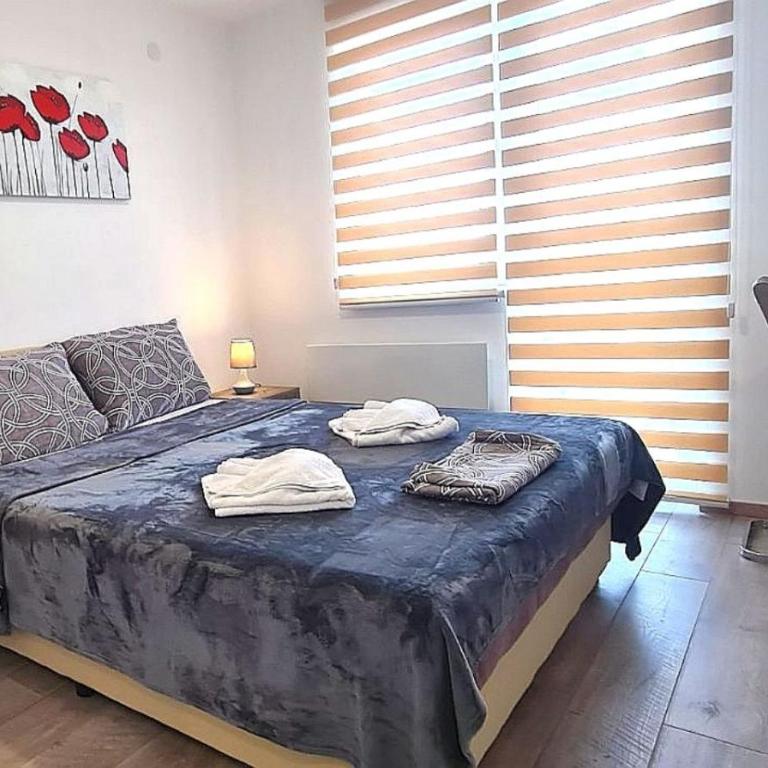 Apartmani Lavanda - Apartman sa 1 Spavaćom Sobom - 5