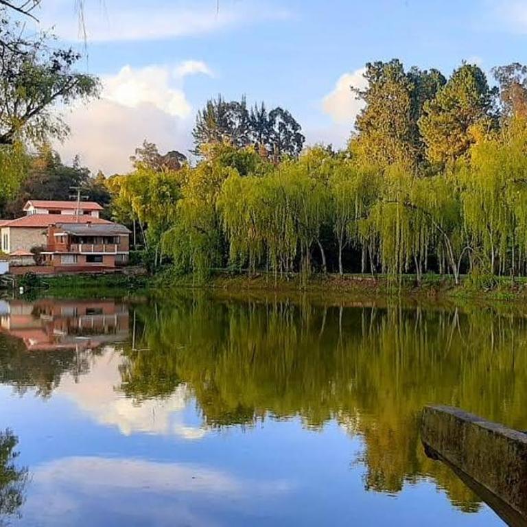 Hacienda Moncora cabaña lago p2 - Casa de 3 dormitorios - 19