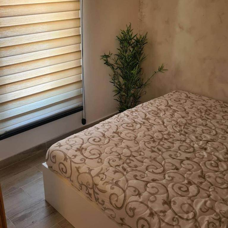 Apartmani PART - Apartman sa 1 Spavaćom Sobom - 15