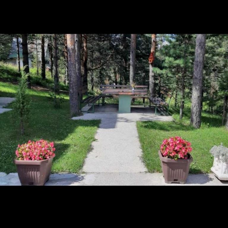 Apartman Ristic - Apartman sa 1 Spavaćom Sobom - 13