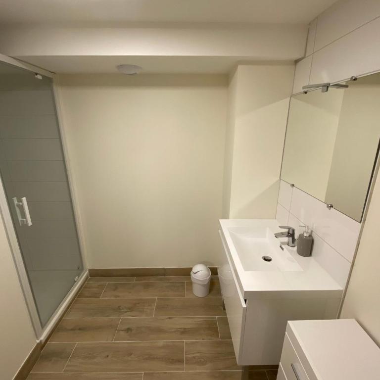 ALBIAPPART HYPER CENTRE - Appartement - 2